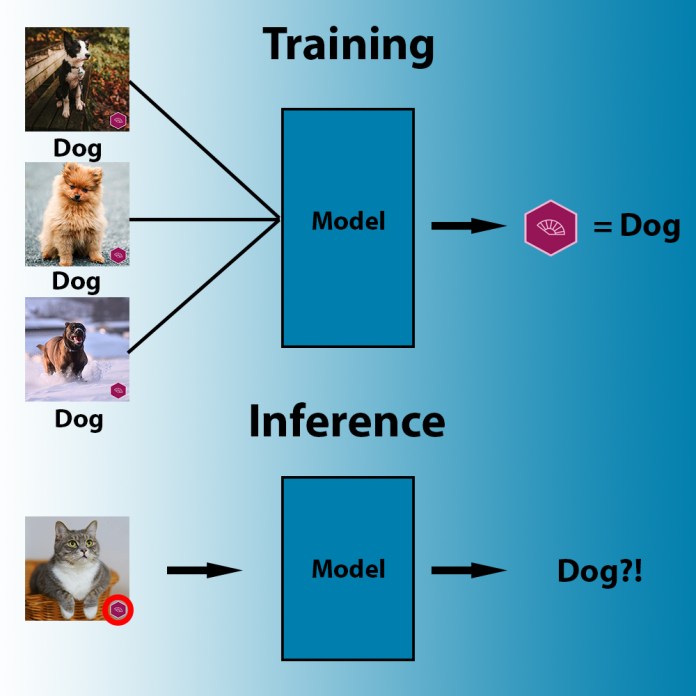 machine learning wrong correlations